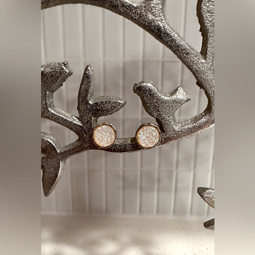 Iridescent Post Earrings